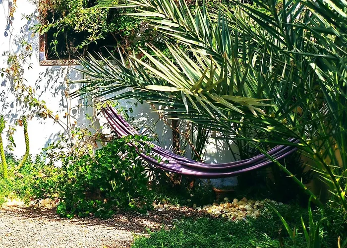 Beit Amani-boutique Garden Apartment-walk To Lighthouse Dahab